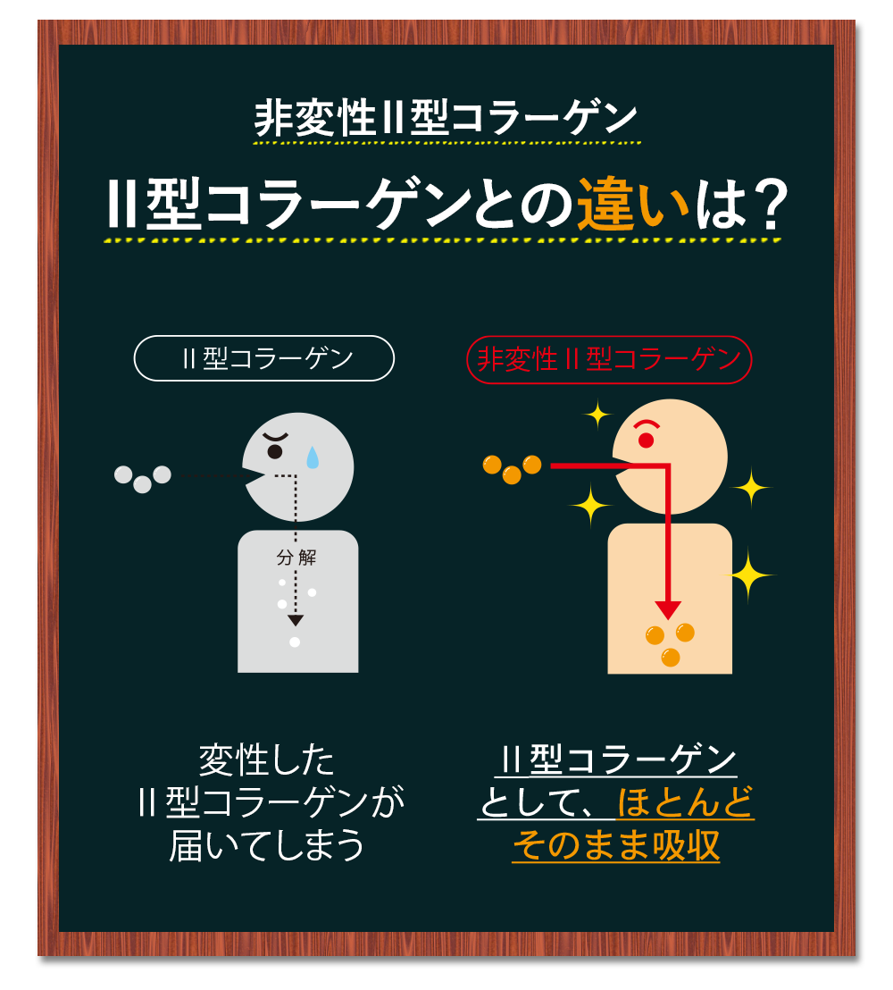 ひざの違和感が続く方へ「ひざのみかた」-リフレのサプリメント・健康食品公式通販サイト