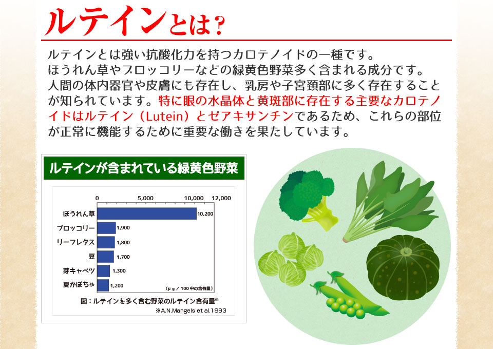 ルテインとは?