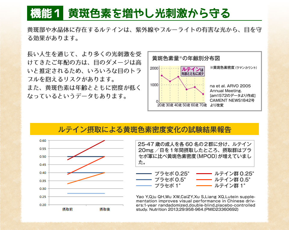 機能1.黄斑色素を増やし光刺激から守る