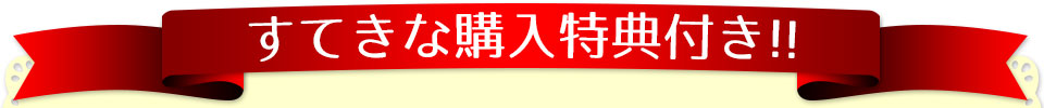 すてきな購入特典付き!!