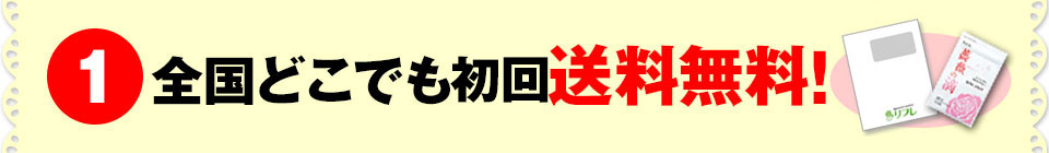 全国どこでも送料無料!