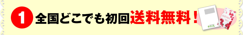 全国どこでも送料無料!