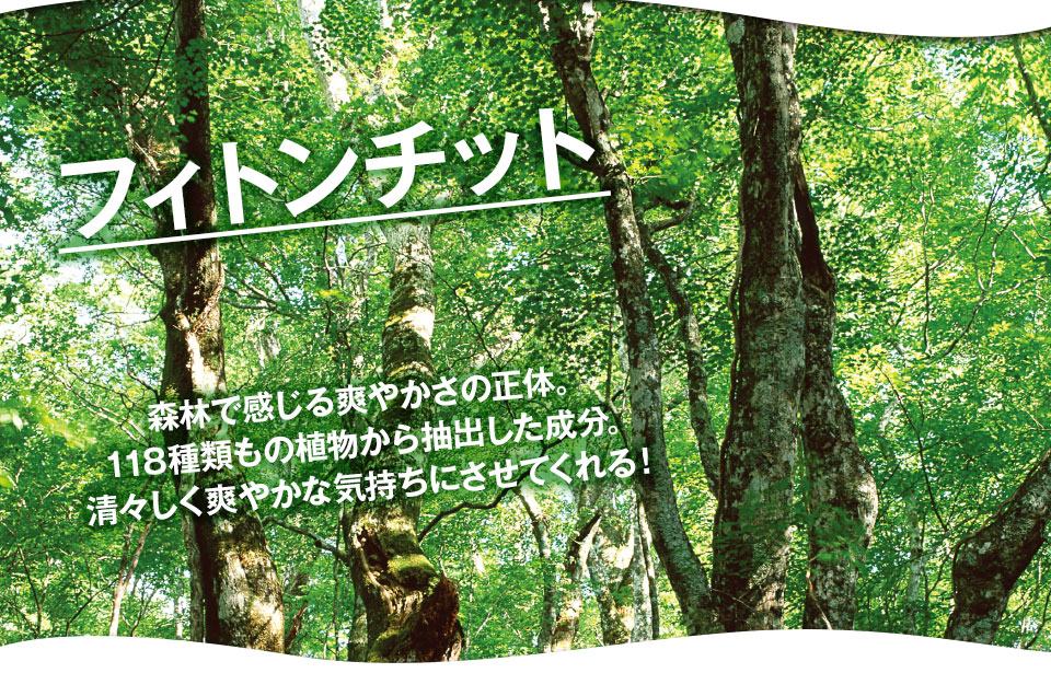 フィトンチット