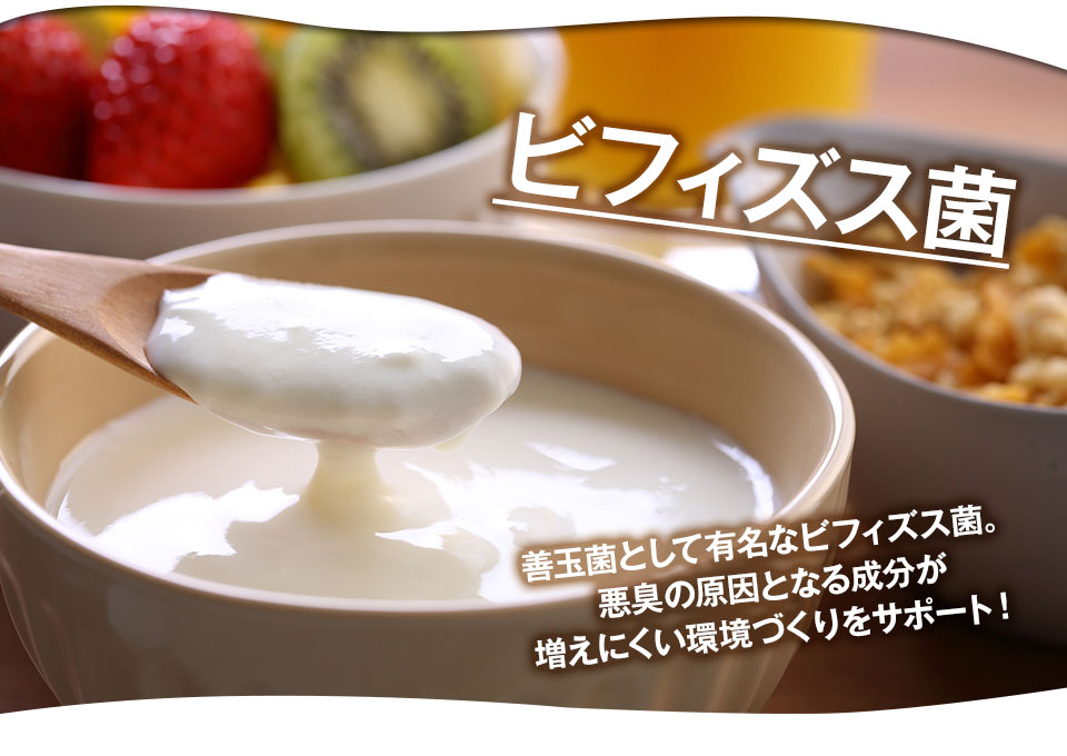 ビフィズス菌