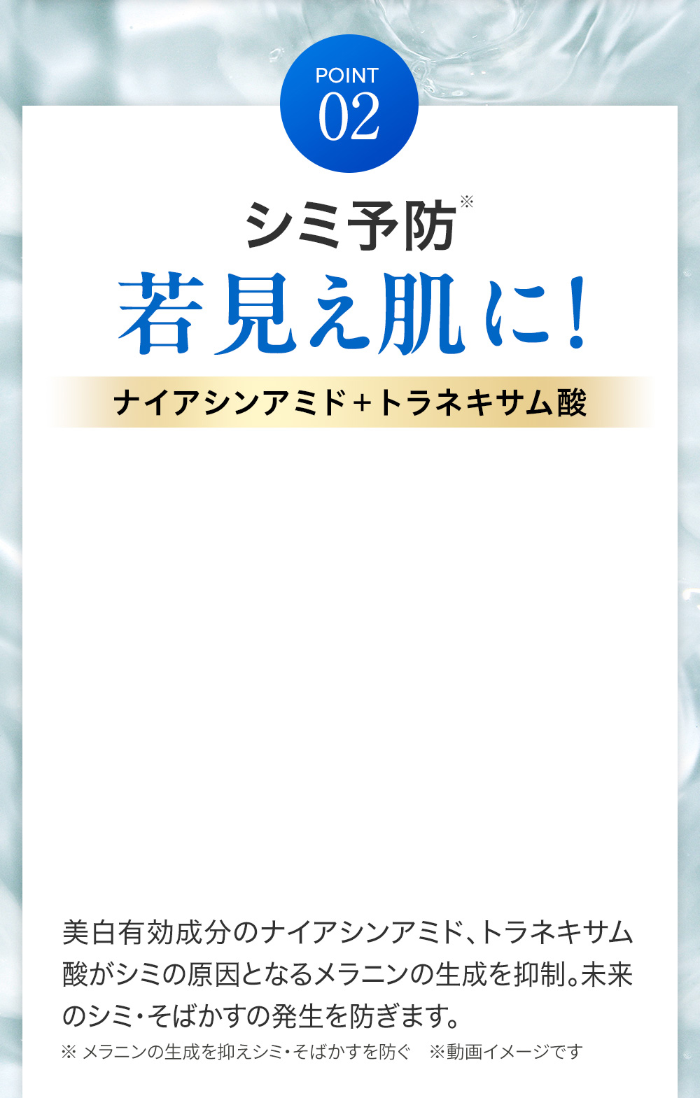 POINT02 シミ予防　若見え肌に!　ナイアシンアミド+トラネキサム酸