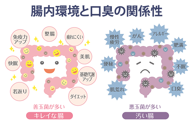 腸内環境と口臭の関係性・まとめ