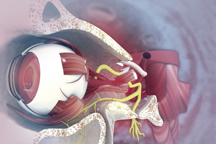 眼筋の効率的な休息方法