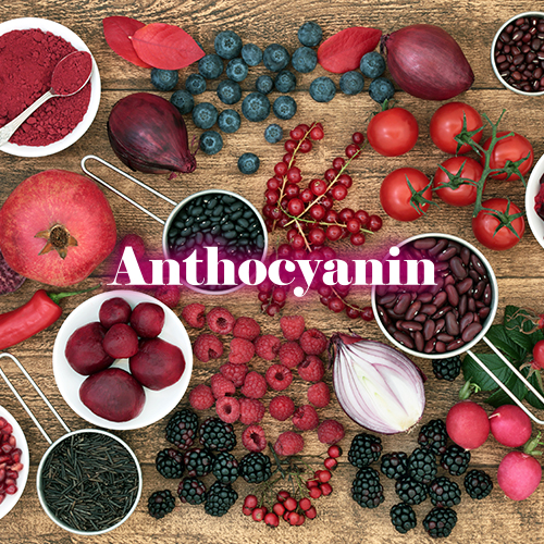 アントシアニン