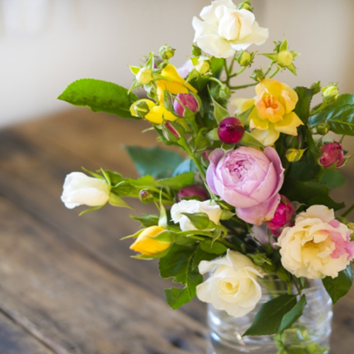 空間に薔薇を置く