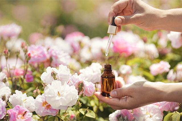 ローズオイル・ローズウォーターによる外側ケア