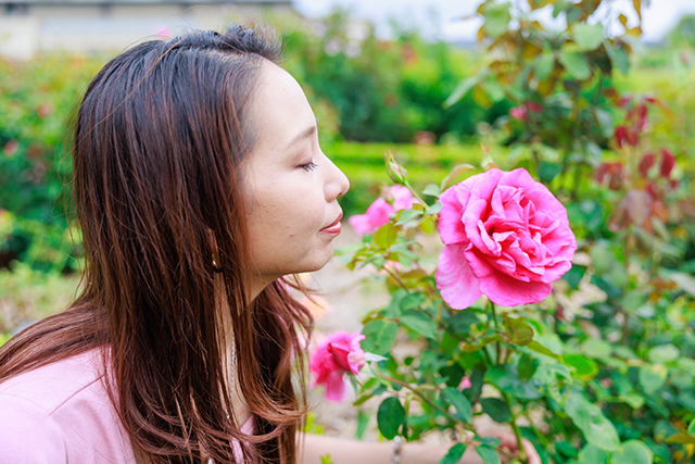 美的満足度を高める薔薇そのものの視覚効果