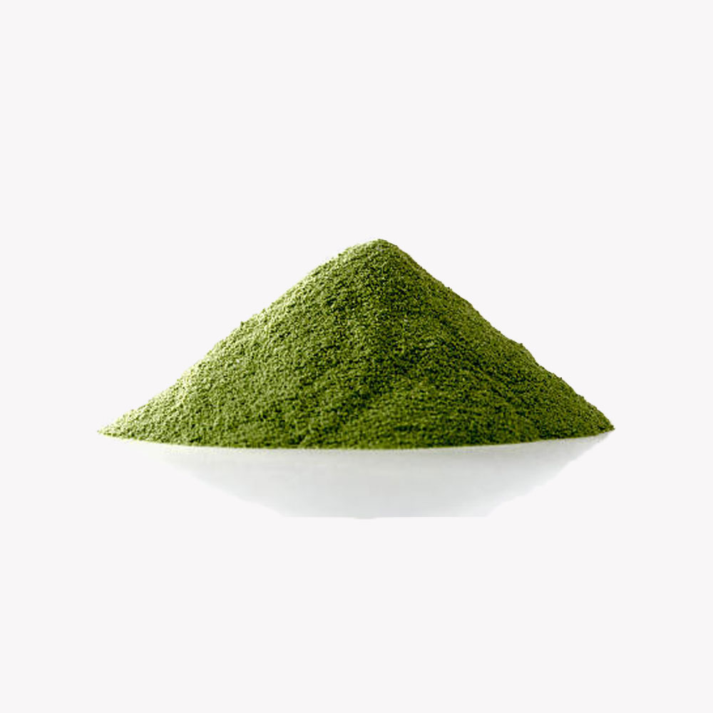 【在庫処分セール】青汁のむのむ(抹茶味)※販売期間～2025年9月30日