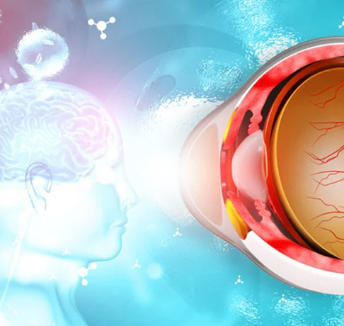 目の疲労軽減で視力改善？～アスタキサンチンのピント調節機能